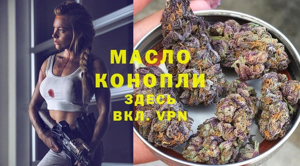 мдпв Лагань