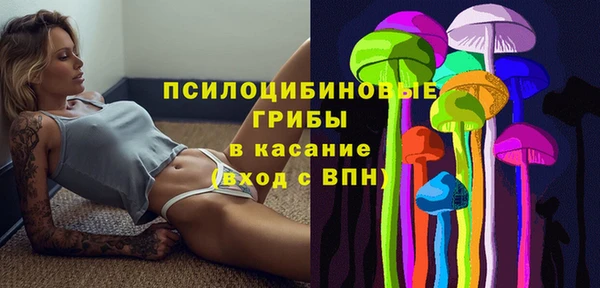 мдпв Никольск