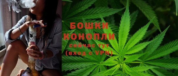 мдпв Лагань